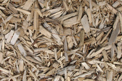 biomass boilers Camusvrachan